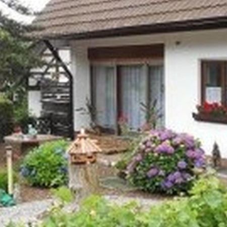 Pension Haus Monika Sasbachwalden Bagian luar foto